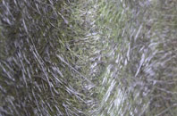 Brasted Chart fibreglass roof work